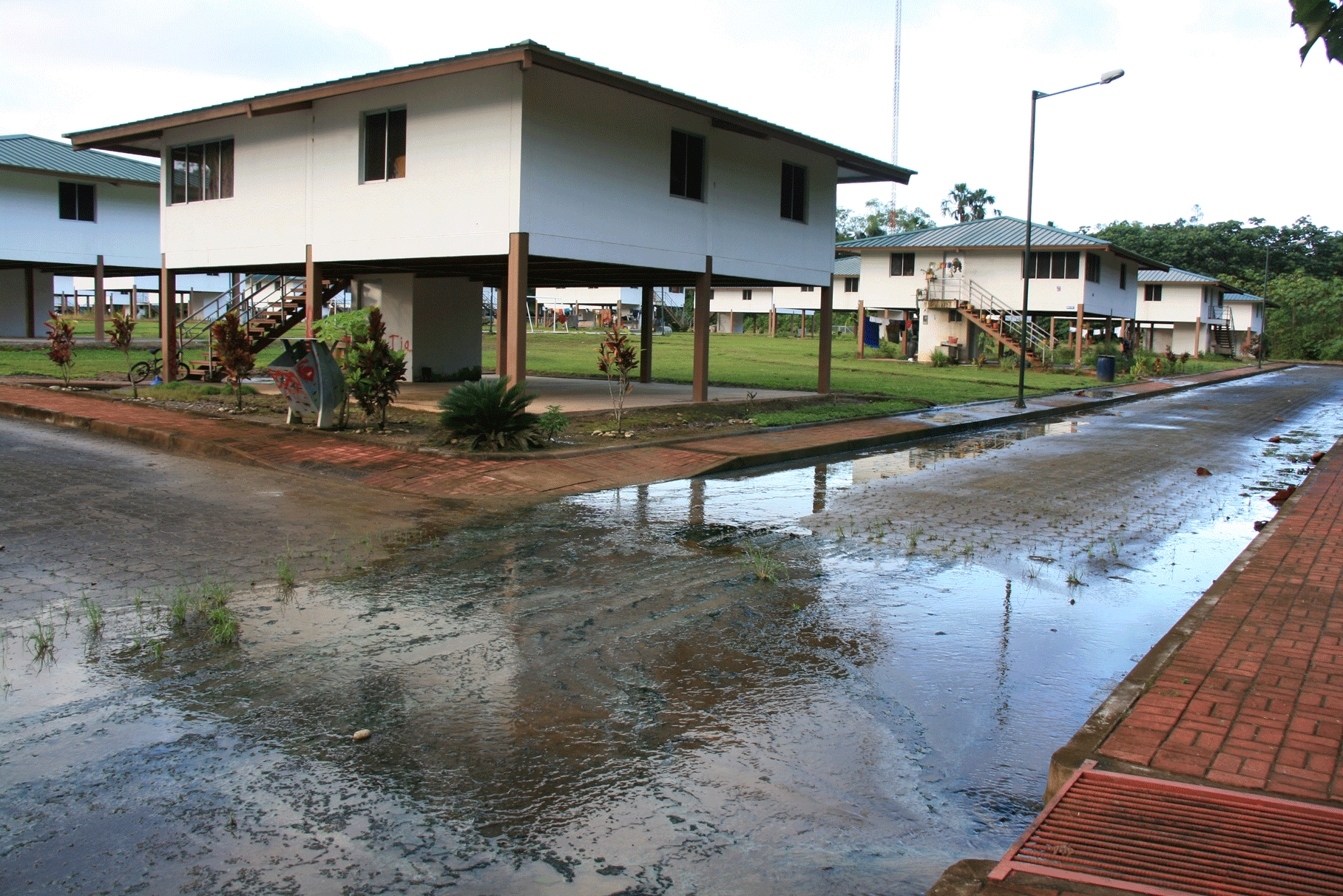 &#8220;LA SELVA DE LOS ELEFANTE BLANCOS&#8221;, MENCION EN EL PREMIO JOSE PERALTA