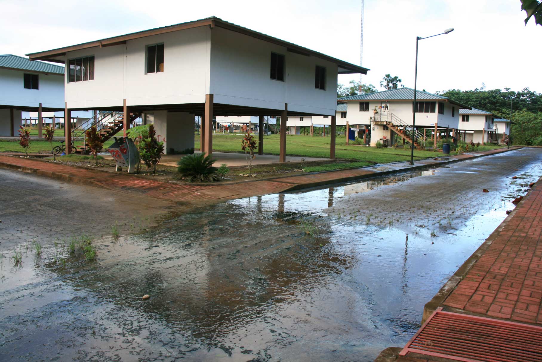 UN CONVERSATORIO SOBRE LA SELVA DE LOS ELEFANTES BLANCOS