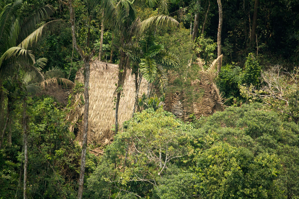 EL ULTIMO GRITO DEL JAGUAR UN LIBRO QUE COBRA ACTUALIDAD A PROPOSITO DE LA CONSULTA
